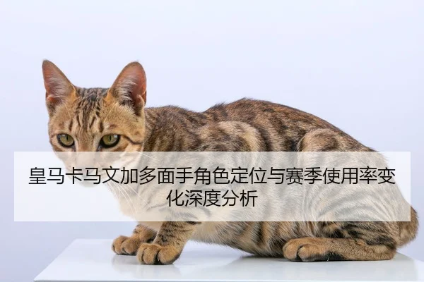 皇马卡马文加多面手角色定位与赛季使用率变化深度分析