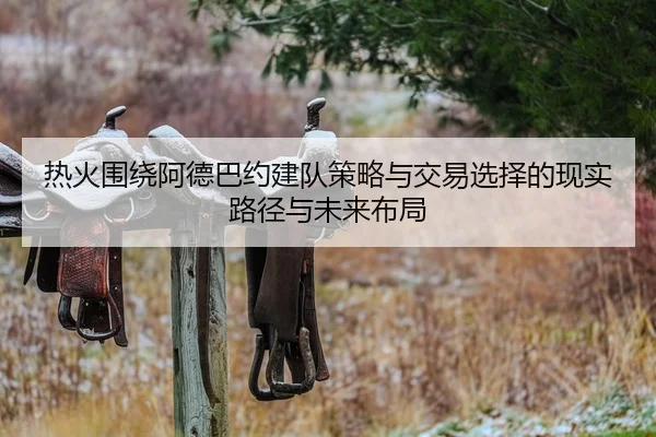 热火围绕阿德巴约建队策略与交易选择的现实路径与未来布局